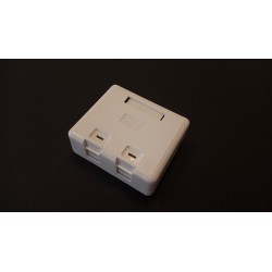 5601, ICS, Wall outlet  Cat 5e 2x Connectors UTP